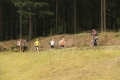 IMG_6119 IMG_6119