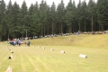 IMG_6126 IMG_6126