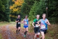 113-DSC08659-w2 113-DSC08659-w2