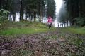 DSC07040 DSC07040