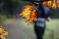 DSC08475 DSC08475