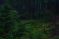 211-DSC08407-w2photo_DP_HD