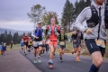 6P6A6953-Herbstlauf-Foto-Tobias-Oemus