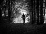 32. Rennsteig-Herbstlauf<br />@trailfoxy