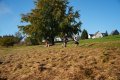 DSC03314 DSC03314
