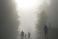 DSC03558 DSC03558