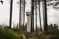 DSC04436 DSC04436