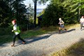 245-W2P01133-03771490-HD_werk2