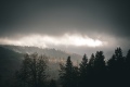 DSC03167