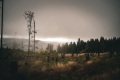 DSC03168