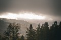 DSC03169