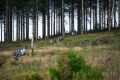 DSC03443 DSC03443